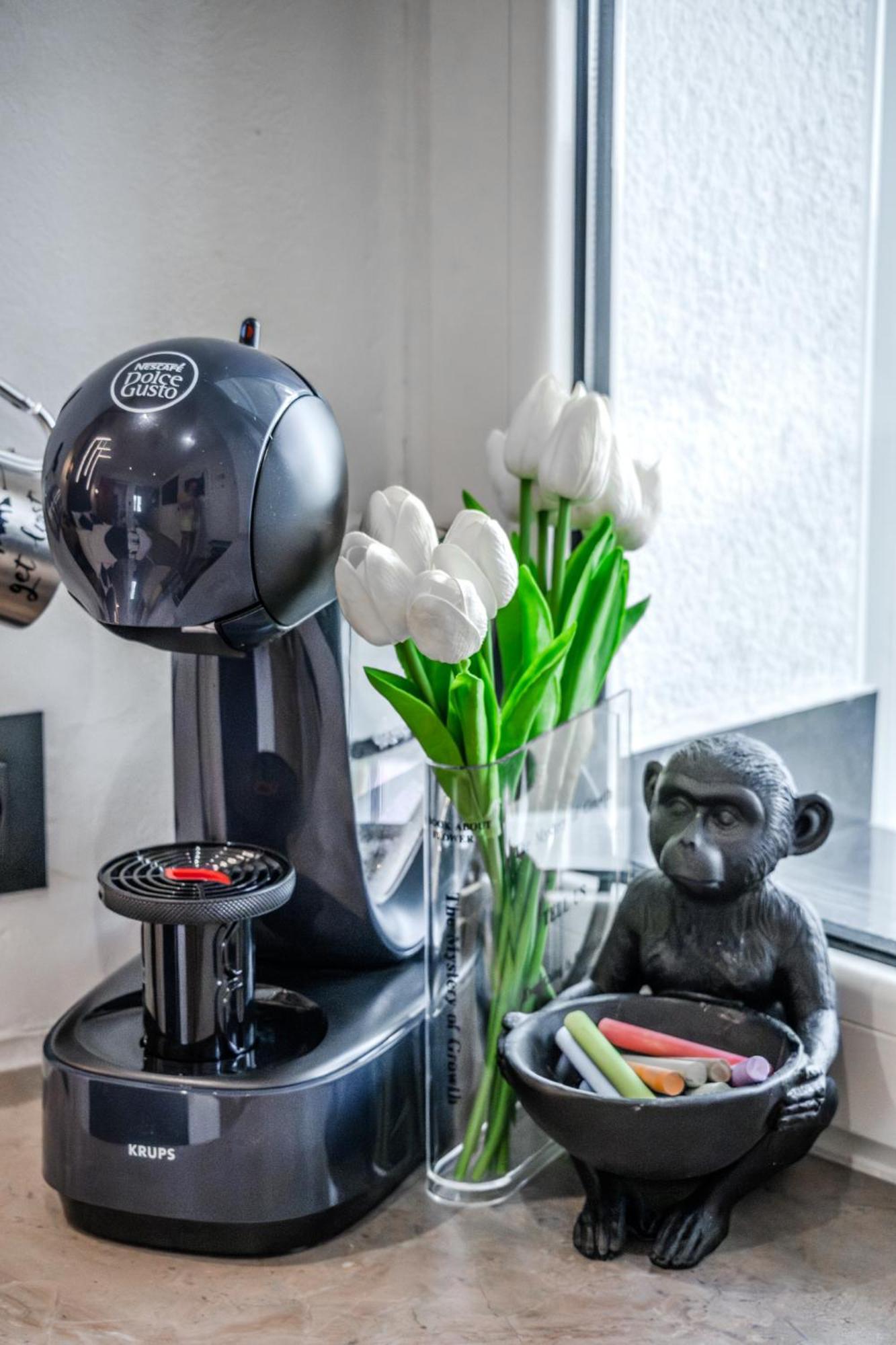 Appartement Urban Oasis à Rijeka Extérieur photo